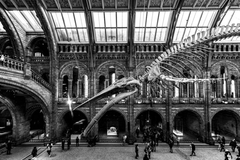 Visitors inside the main hall of the Natural History Museum in London